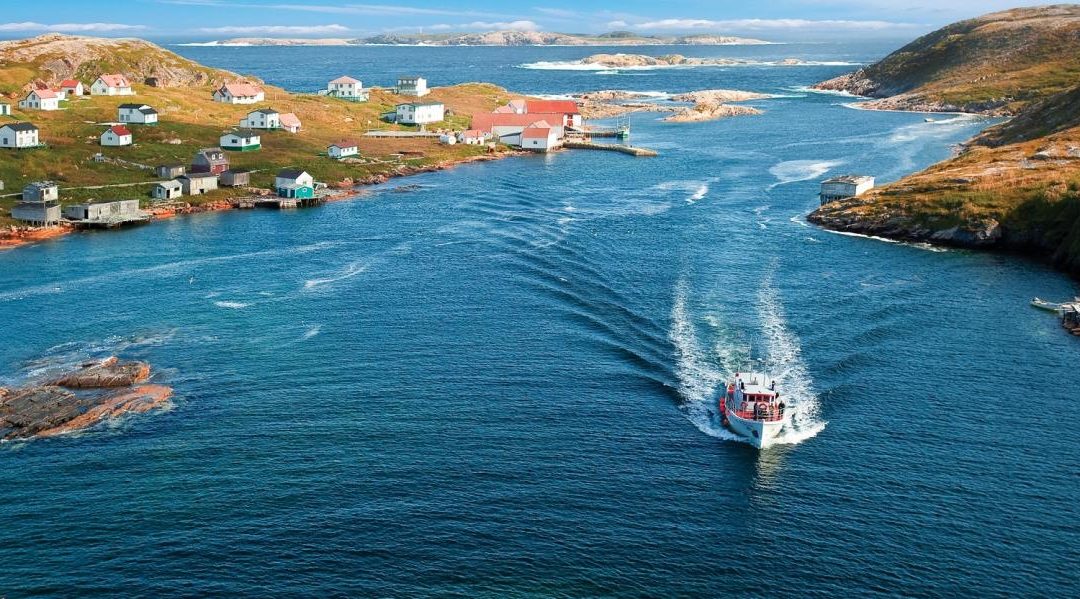 Two Newfoundland bioscience companies latest to join Emergence Incubator