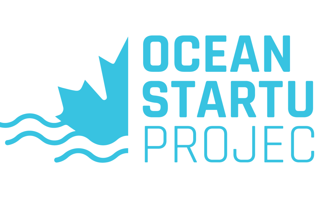 Embark on a Customer Discovery Journey with the Ocean Idea Challenge